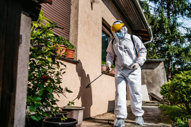Best Local Pest Control Services  in Pretty Bayou, FL