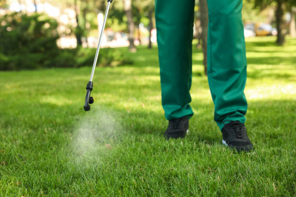 Pest Control for Restaurants in Pretty Bayou, FL
