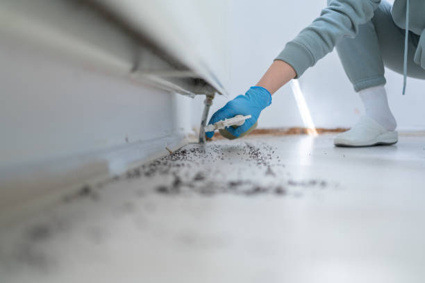 Best Wasp Removal Services  in Pretty Bayou, FL